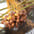 Date palm