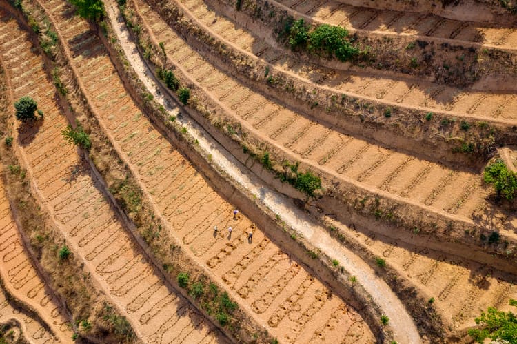 Coffee projects in China