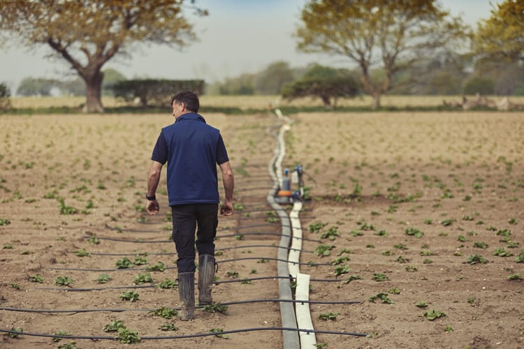 滴耐特压力补偿滴灌管