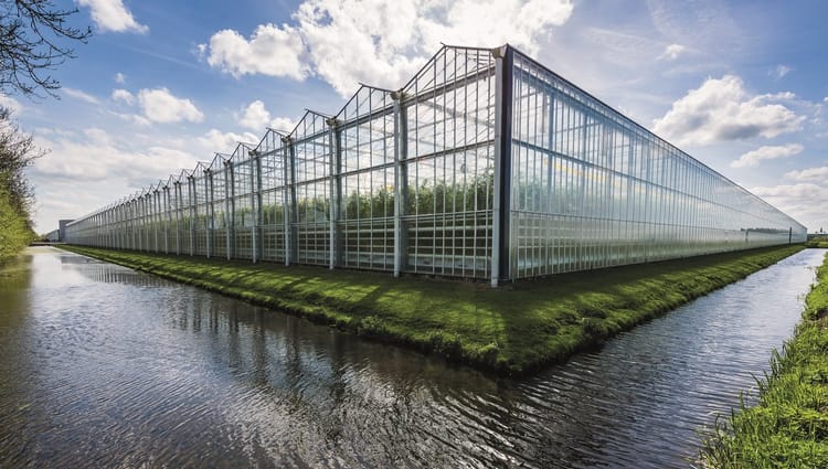 Banner 耐特菲姆如何为用户搭建合理的温室大棚