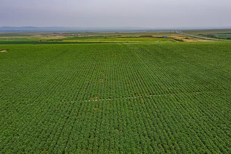 Banner 耐特菲姆智能灌溉系统类型