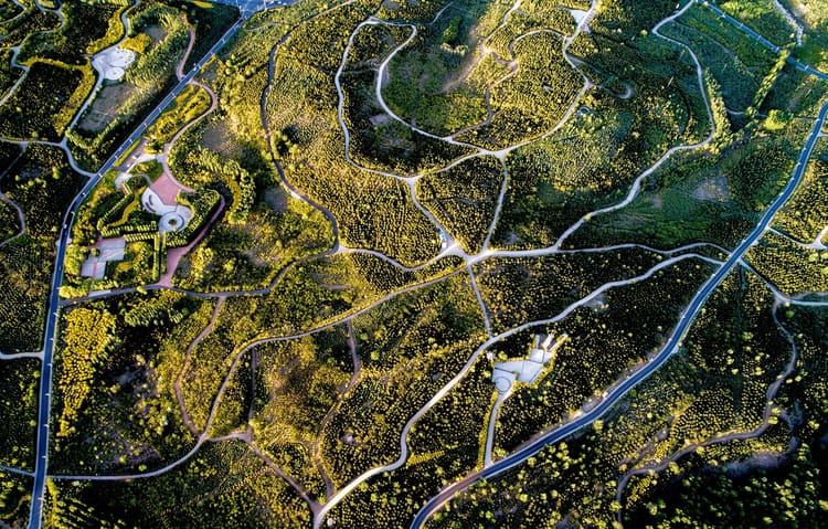 Banner 耐特菲姆的数字农业解决方案