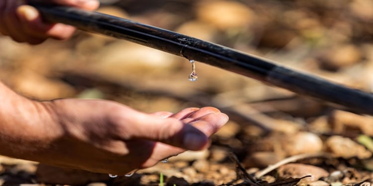 投入更少 收获更多