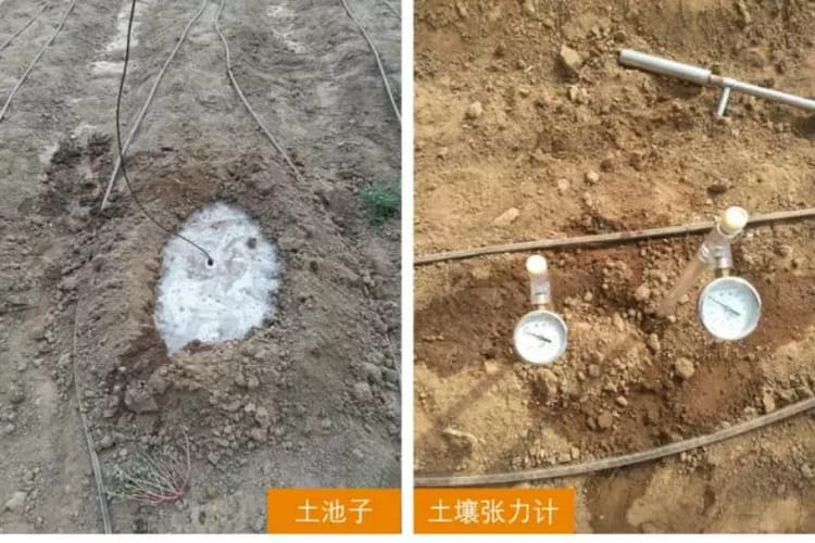 Banner 土壤田间持水量的测定