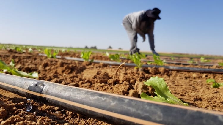 Banner 滴灌技术的优点
