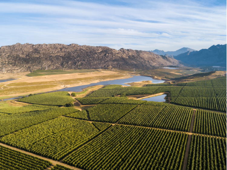 Banner 智慧农业结合滴灌技术实现水肥一体化自动管理