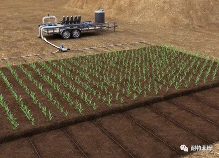 ECO SDI – 经济型地埋滴灌系统