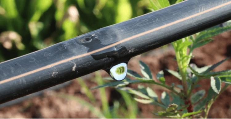 Banner 水肥一体化技术的基本原理