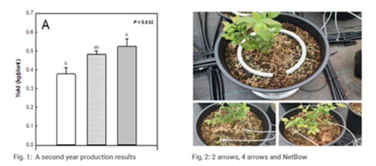 Banner 知识就是力量 – 耐特菲姆2022农学研究摘要