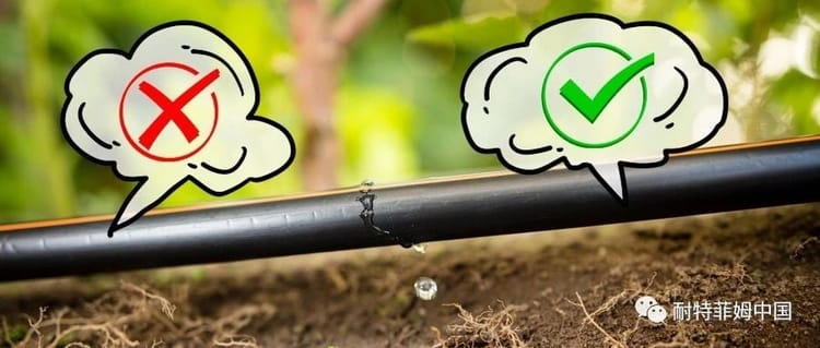 走出滴灌认知误区,实现精准灌溉