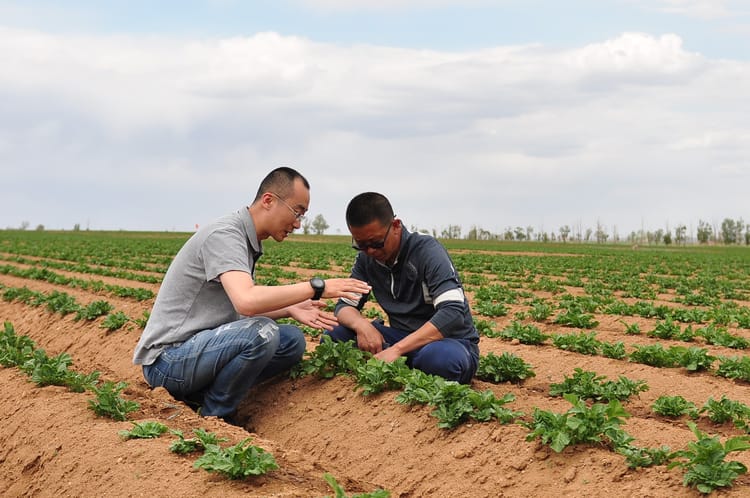 耐特菲姆点到点“交钥匙”项目流程:从概念设计到项目完成