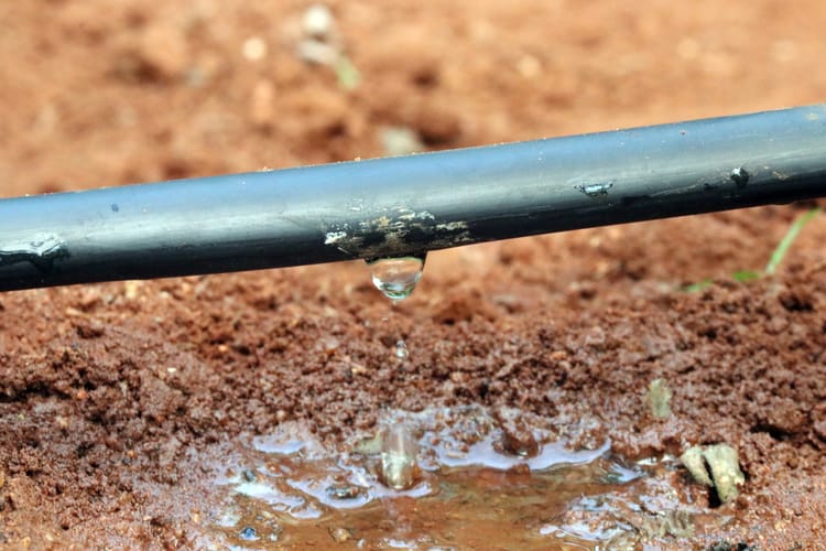 水肥一体化基础知识:土壤到底是什么样子?