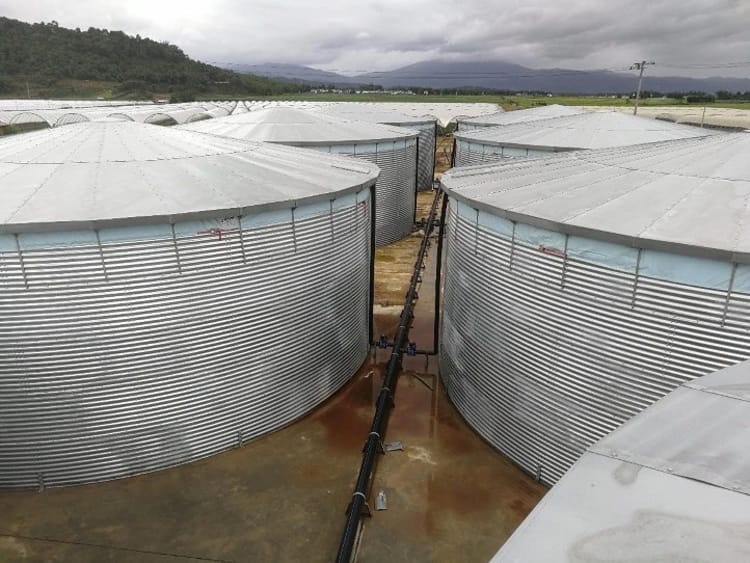 装配式储水罐,从此告别修建蓄水池