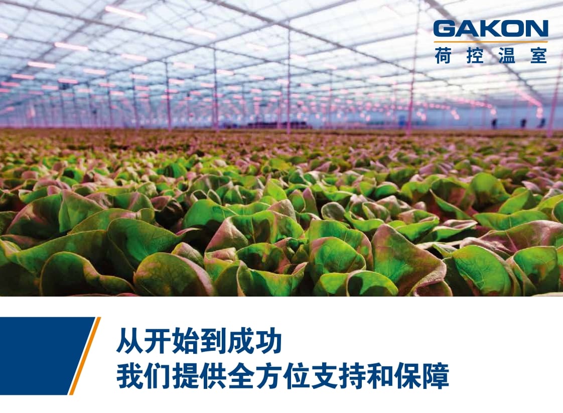 荷兰荷控温室解决方案