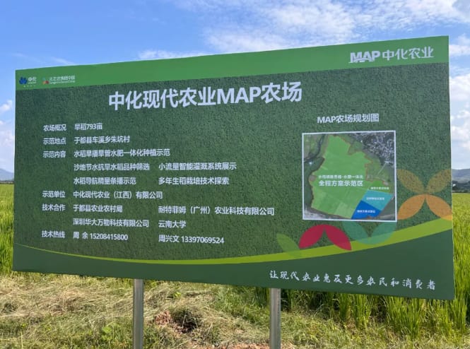 中化农业MAP与耐特菲姆召开水稻水肥一体化种植技术研讨会