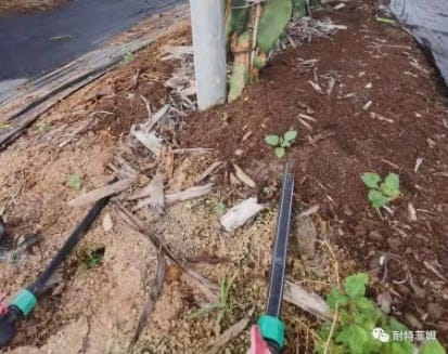 防虹吸型压力补偿滴灌管