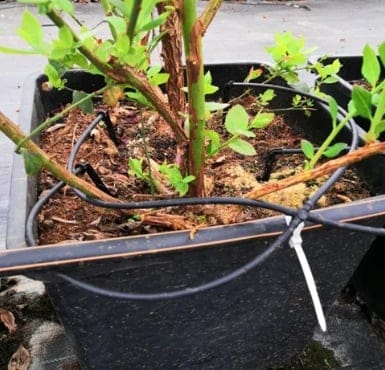 Uniram优拉姆滴灌管 + Dr.Zip + 滴箭/NetBow环形灌水器