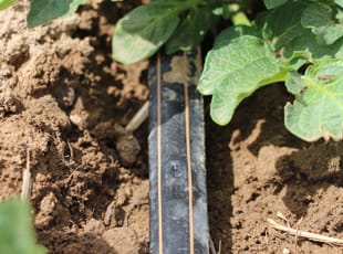 流线X薄壁滴灌管