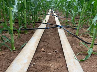 柔性管-主支管道