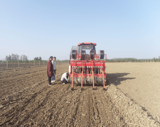 播种与铺设滴灌带同时进行