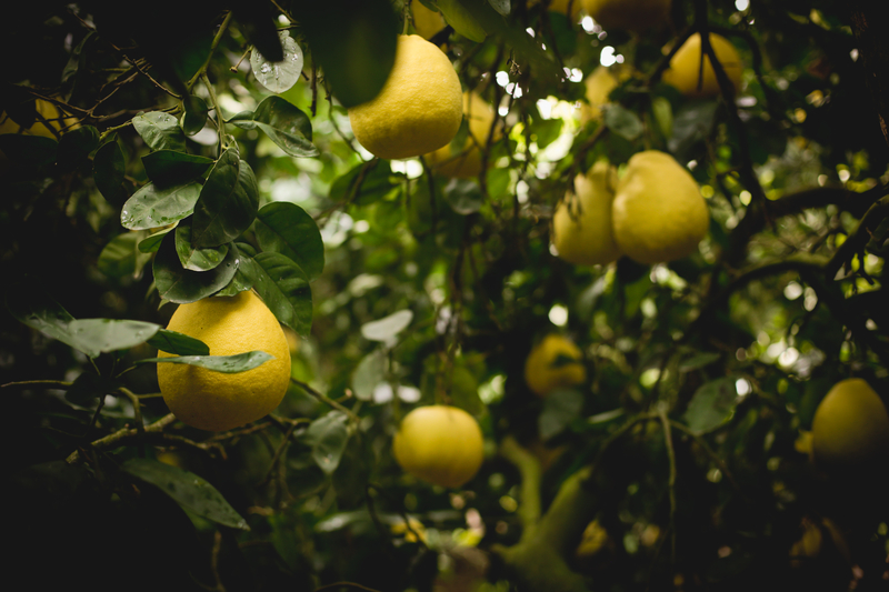 农田节水灌溉设备