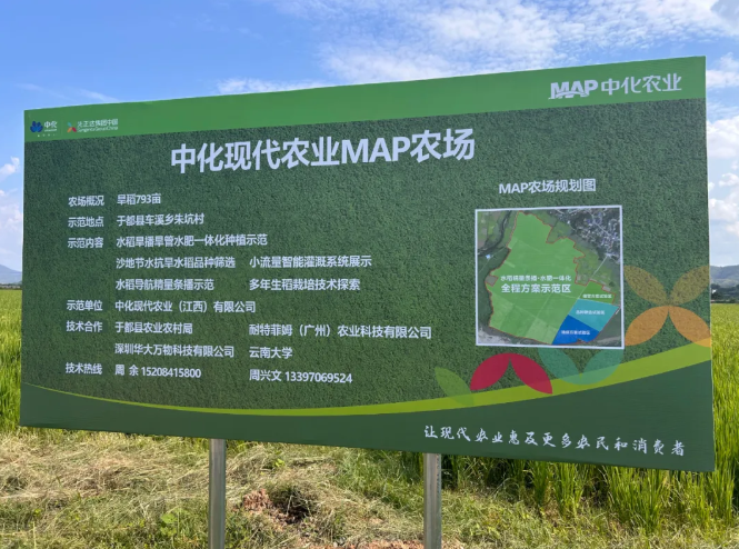 中化农业MAP与耐特菲姆召开水稻水肥一体化种植技术研讨会 - Netafim