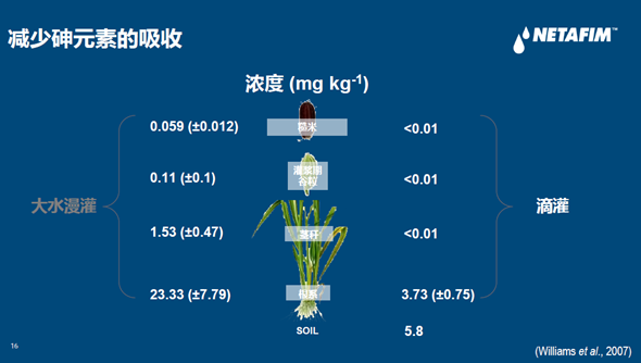 水稻滴灌