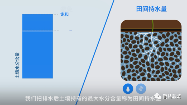 滴灌以后,土壤应该达到何种理想状态?