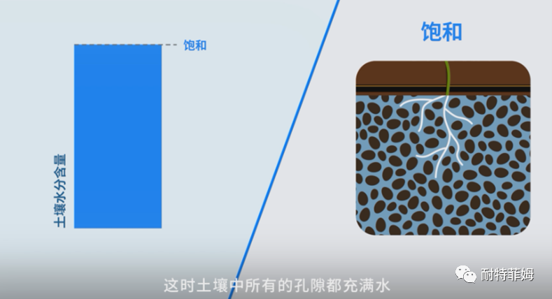 滴灌以后,土壤应该达到何种理想状态?