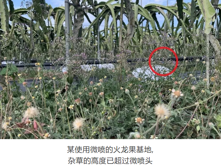 image92ulc.png