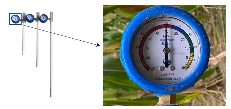 利用张力计监测和指导灌溉操作