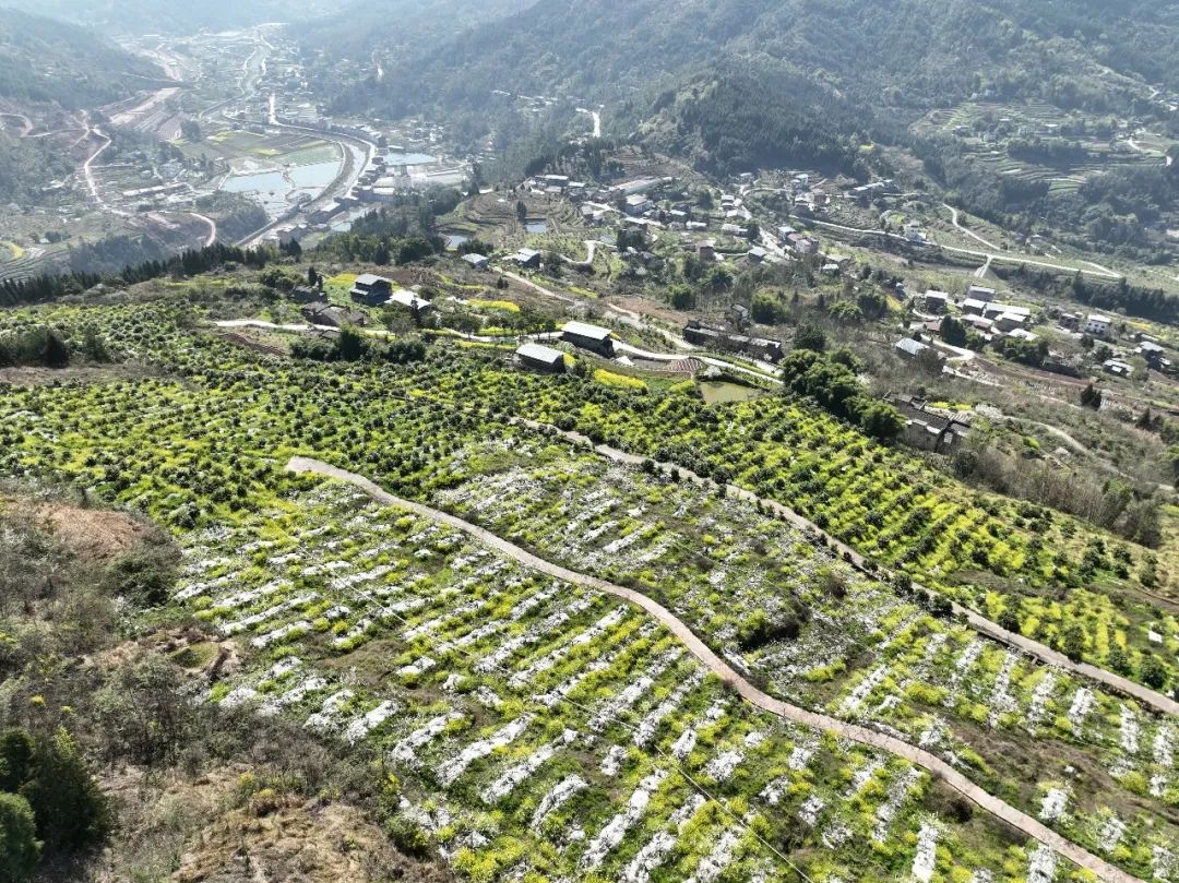 农业节水灌溉技术