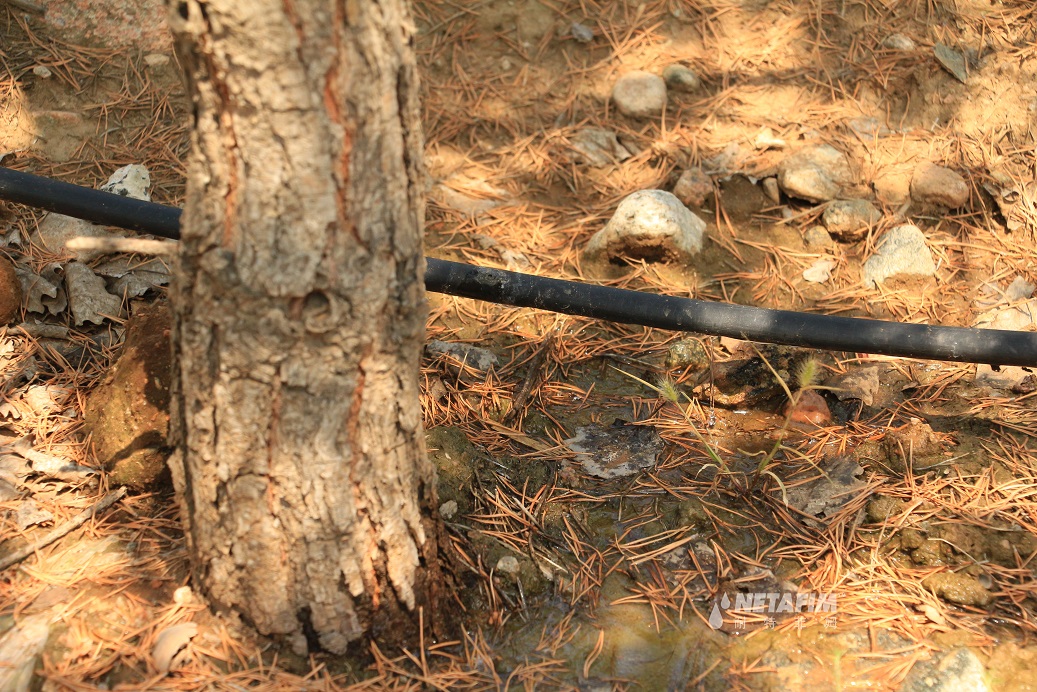 水肥一体化技术