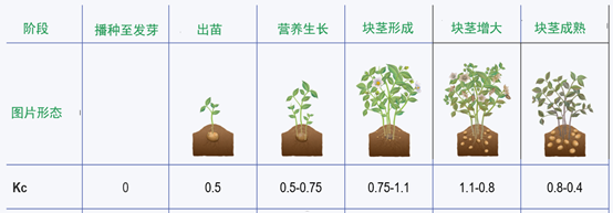 如何科学制定灌溉计划