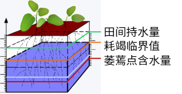 如何科学制定灌溉计划