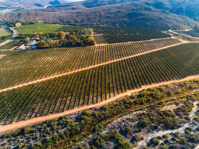 小流量灌溉技术
