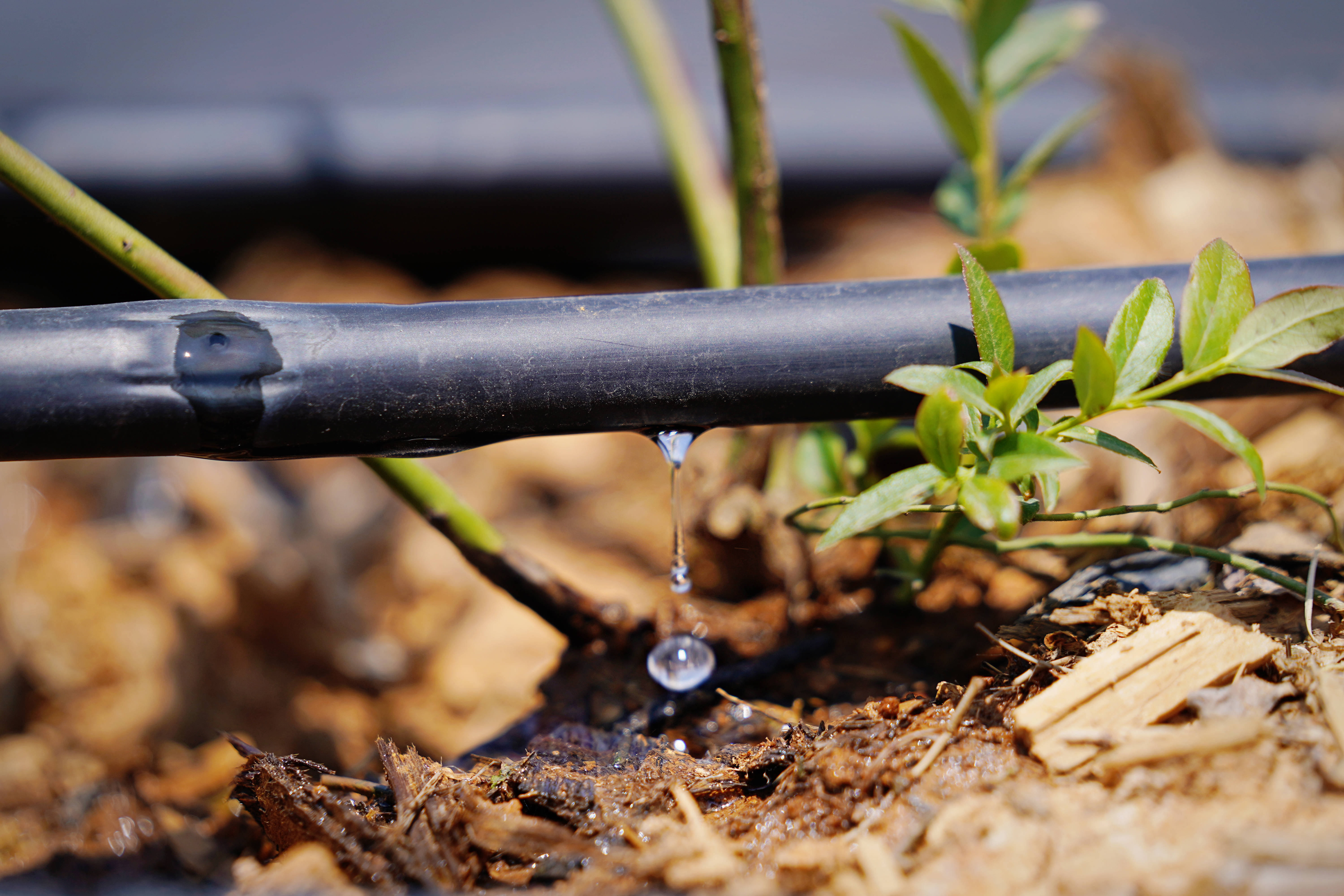 小流量灌溉技术