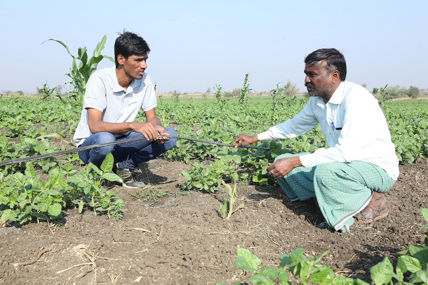 Ramthal-India- Community Irrigation Project 15.JPG