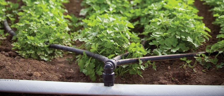 精准灌溉（滴灌）所需的一切产品